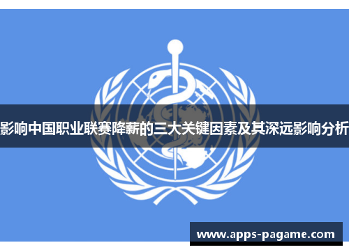 影响中国职业联赛降薪的三大关键因素及其深远影响分析