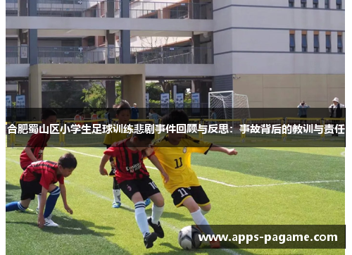 合肥蜀山区小学生足球训练悲剧事件回顾与反思:事故背后的教训与责任 合肥蜀山区小学生足球训练悲剧事件回顾与反思:事故背后的教训与责任