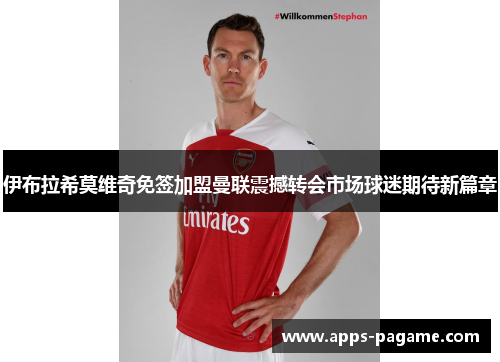 伊布拉希莫维奇免签加盟曼联震撼转会市场球迷期待新篇章
