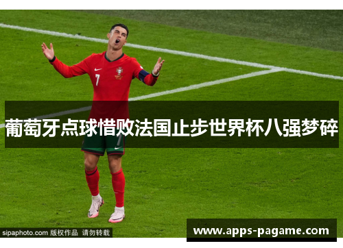 葡萄牙点球惜败法国止步世界杯八强梦碎