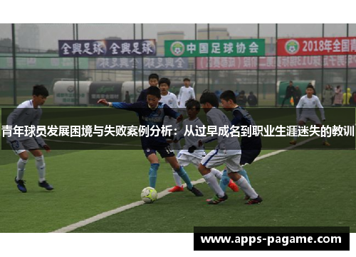 青年球员发展困境与失败案例分析：从过早成名到职业生涯迷失的教训