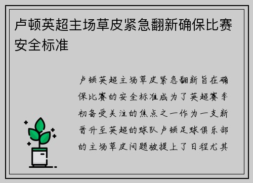 卢顿英超主场草皮紧急翻新确保比赛安全标准